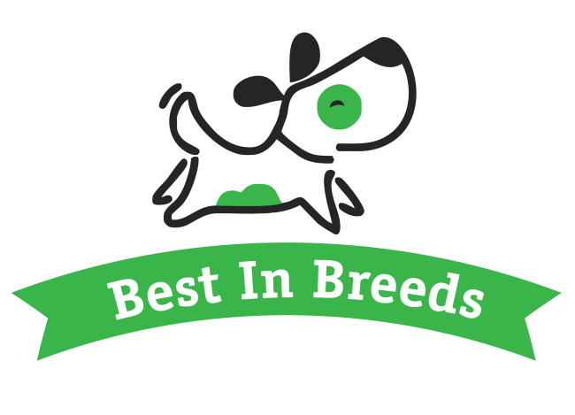 best in breeds logo